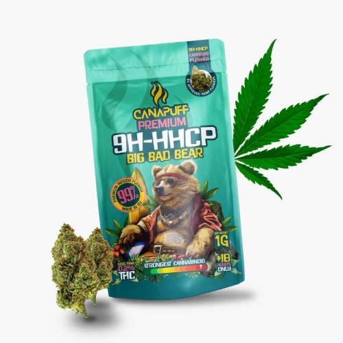 9H-HHCP Big Bad Bear virágok 99% – Canapuff 1 g