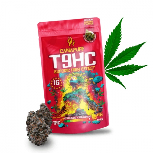 T9HC Euforic 99% virágok – Canapuff 1 g